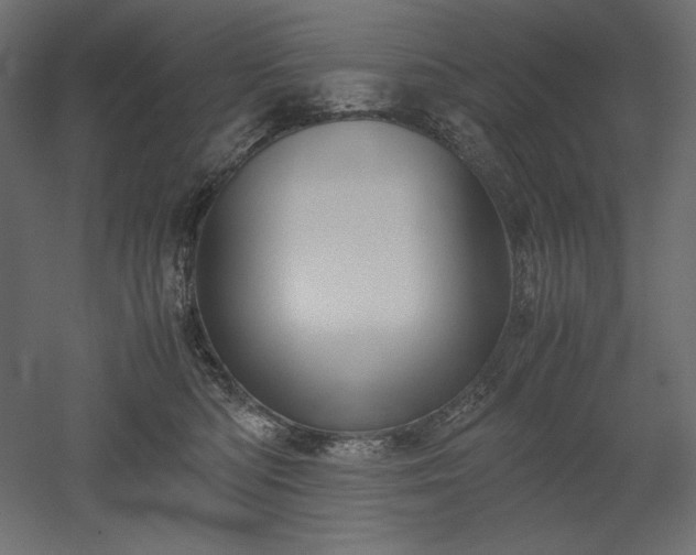 X0000051910422200507011538