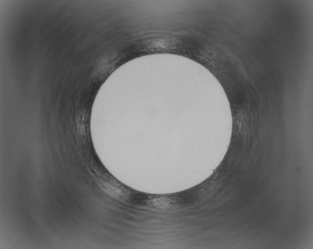 X0000051910423200507011538