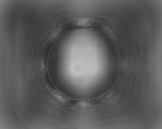 X0000051910424200507011538