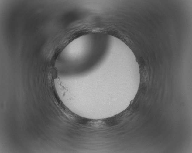 X0000051910427200507011538