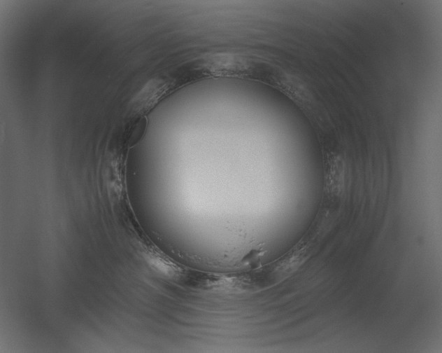 X0000051910430200507011538