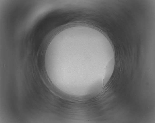 X0000051910431200507011538