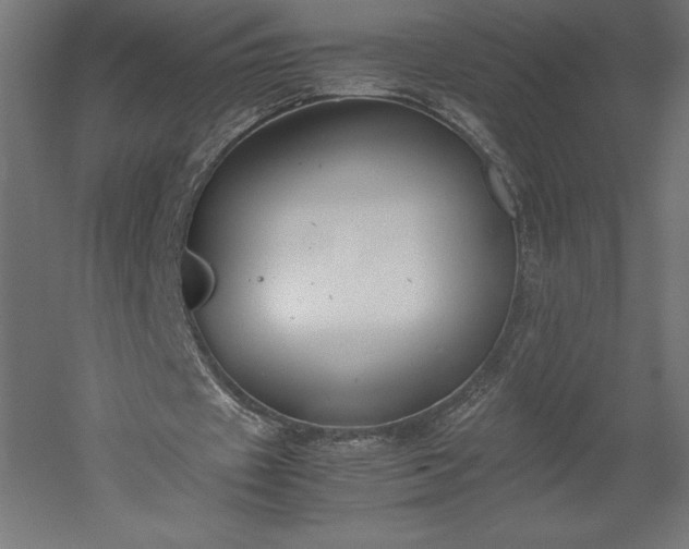 X0000051910433200507011537