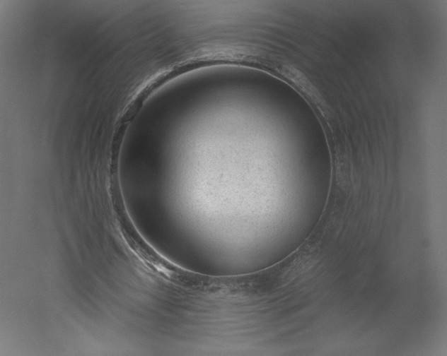 X0000051910434200507011537