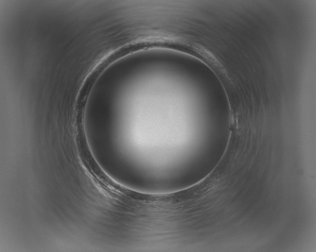 X0000051910436200507011537