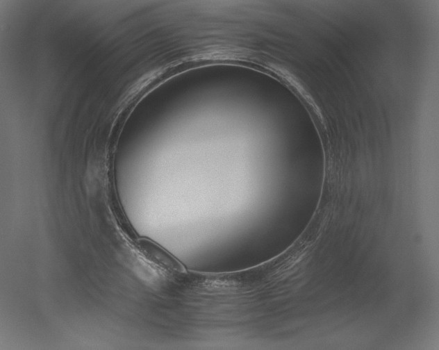 X0000051910437200507011538