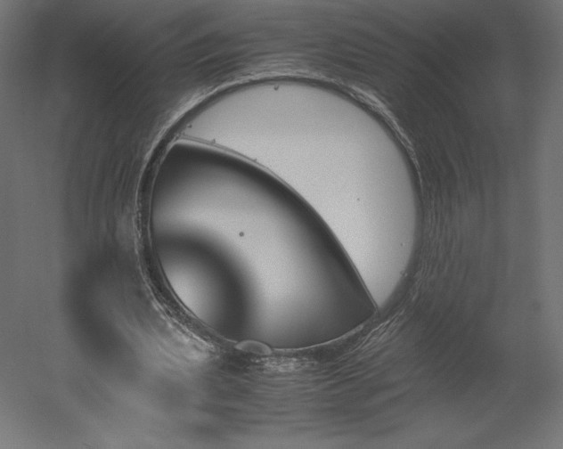 X0000051910439200507011538