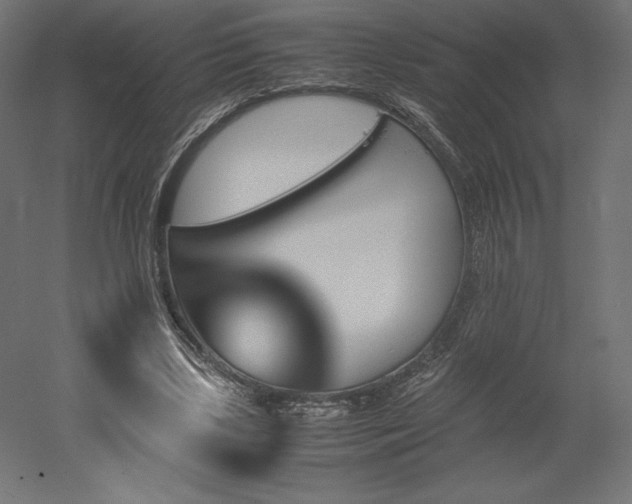 X0000051910443200507011538