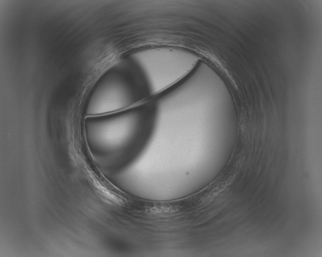 X0000051910445200507011538