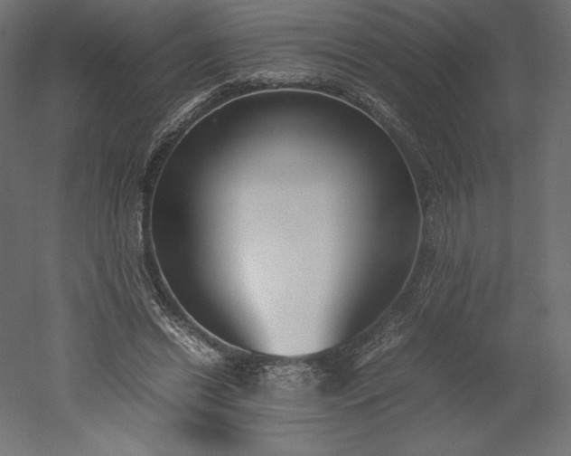 X0000051910446200507011538