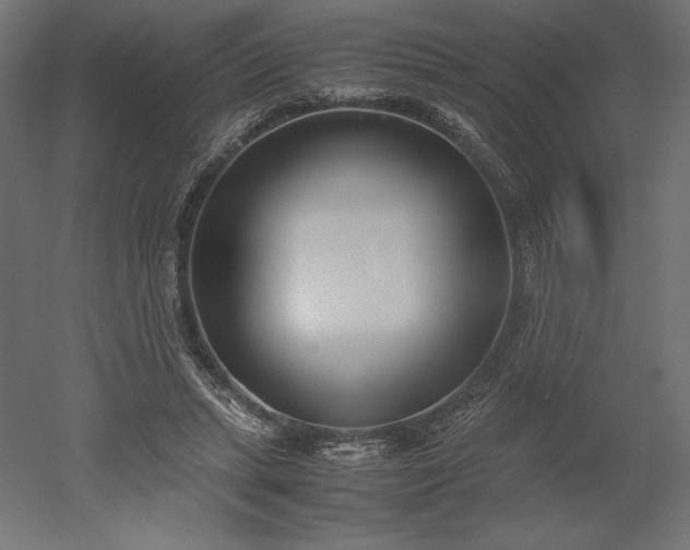 X0000051910447200507011538