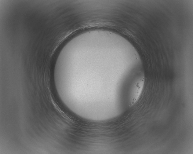 X0000051910448200507011538