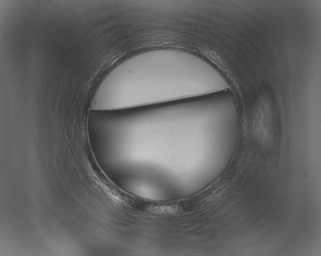 X0000051910449200507011538