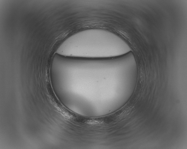 X0000051910453200507011538