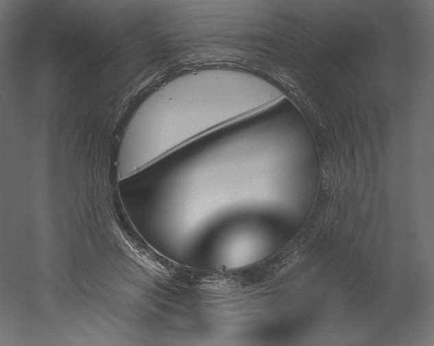 X0000051910454200507011538