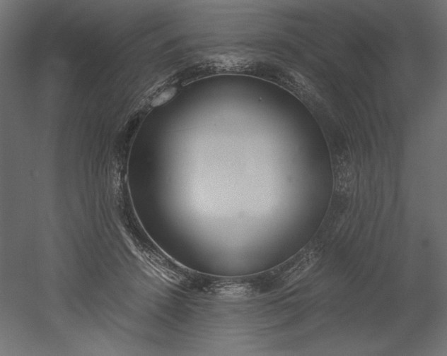 X0000051910456200507011538