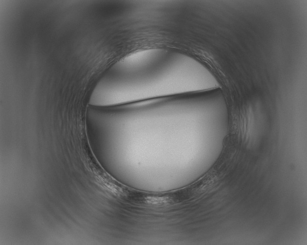 X0000051910457200507011538