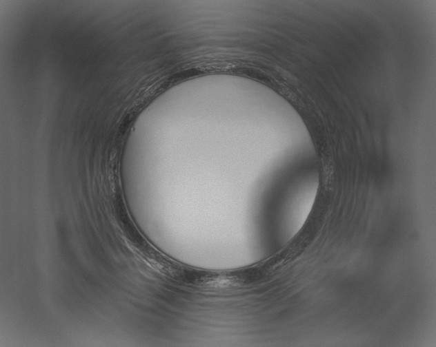 X0000051910460200507011538