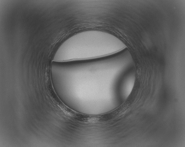 X0000051910462200507011538