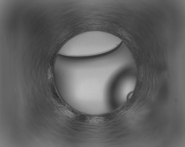 X0000051910463200507011538