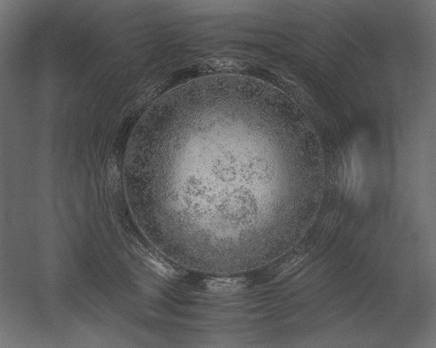 X0000051910465200507011538