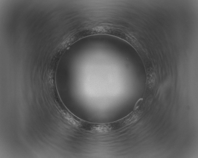 X0000051910466200507011538