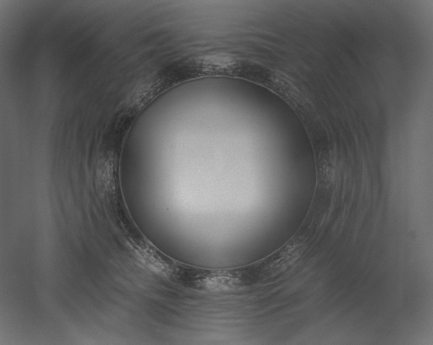 X0000051910468200507011538