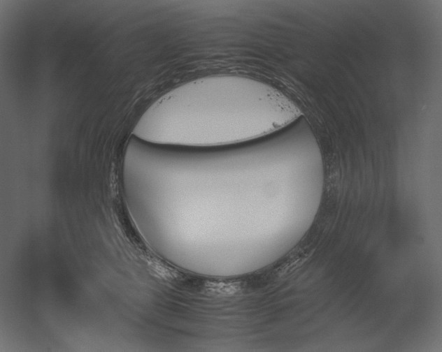 X0000051910469200507011538