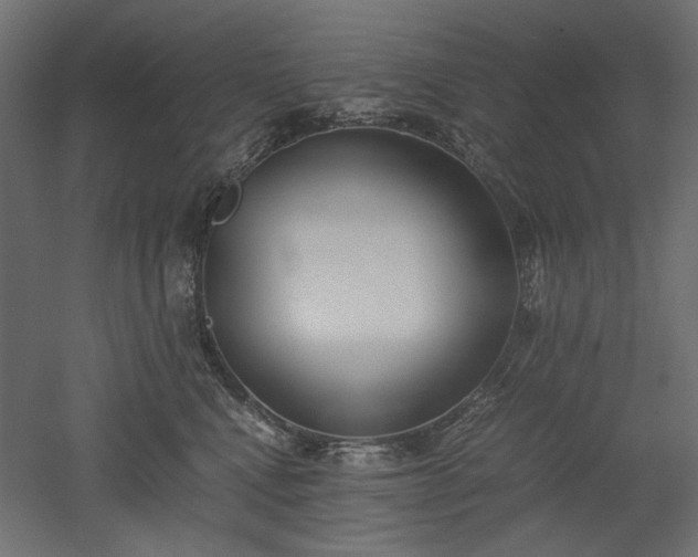 X0000051910472200507011538