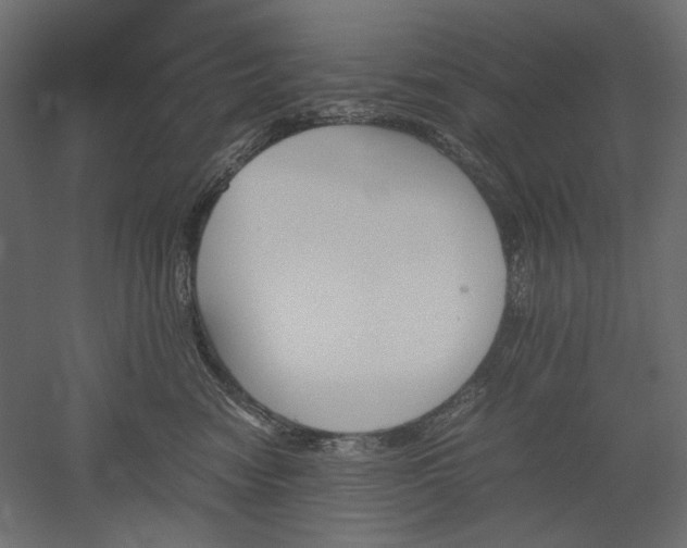 X0000051910474200507011538