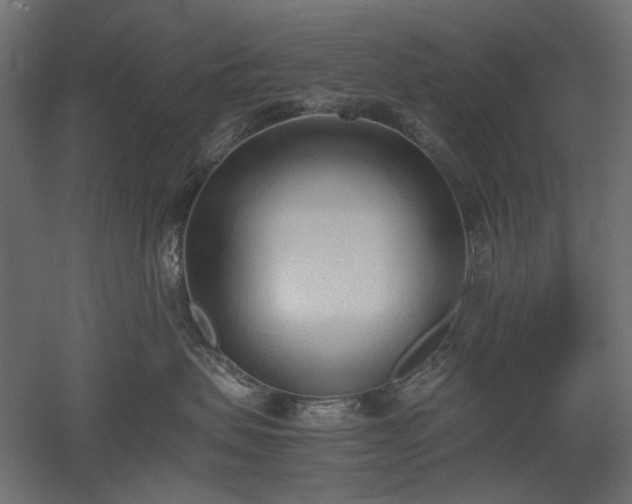 X0000051910479200507011538