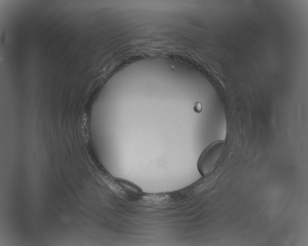 X0000051910480200507011538