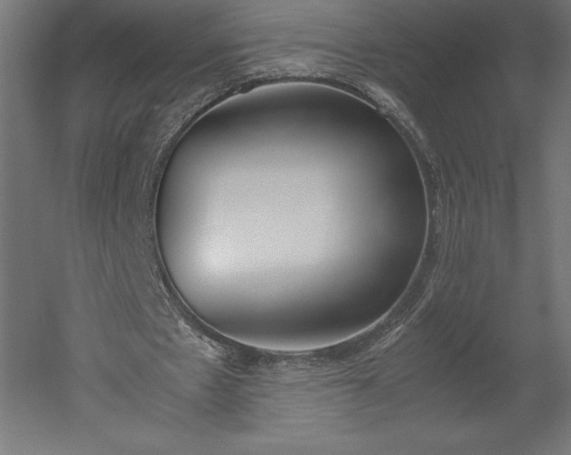 X0000051910481200507011537