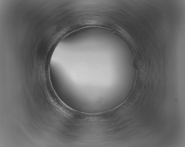 X0000051910482200507011537