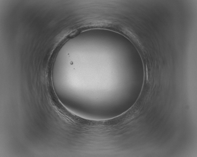 X0000051910483200507011537