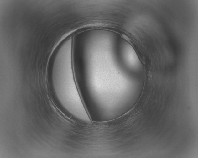 X0000051910484200507011537