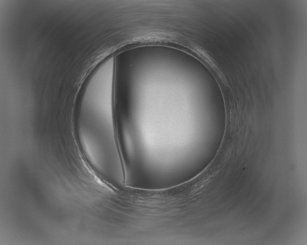 X0000051910485200507011537