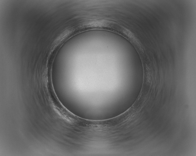 X0000051910486200507011537