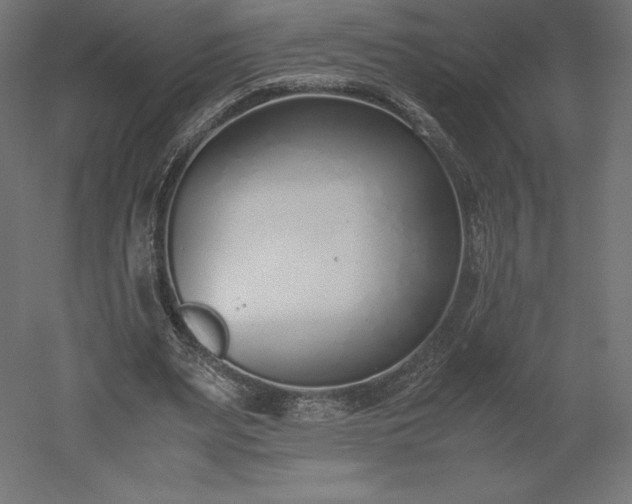 X0000051910487200507011537