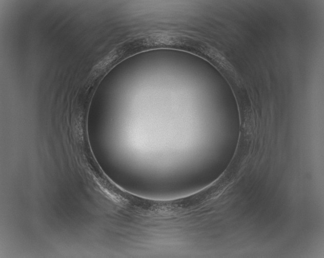 X0000051910489200507011537