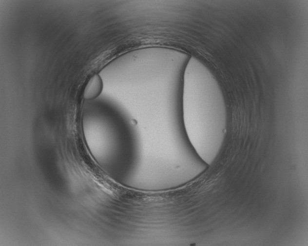 X0000051910490200507011537