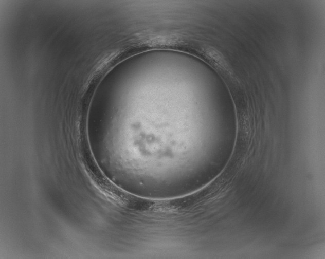 X0000051910491200507011537