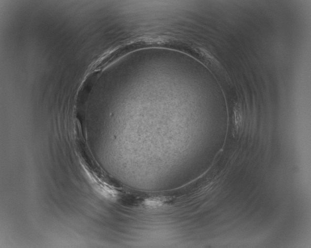 X0000051910492200507011537