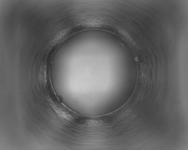 X0000051910494200507011537