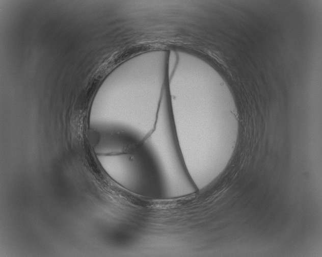 X0000051910495200507011537