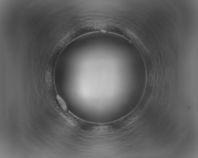 X0000051910497200507011537