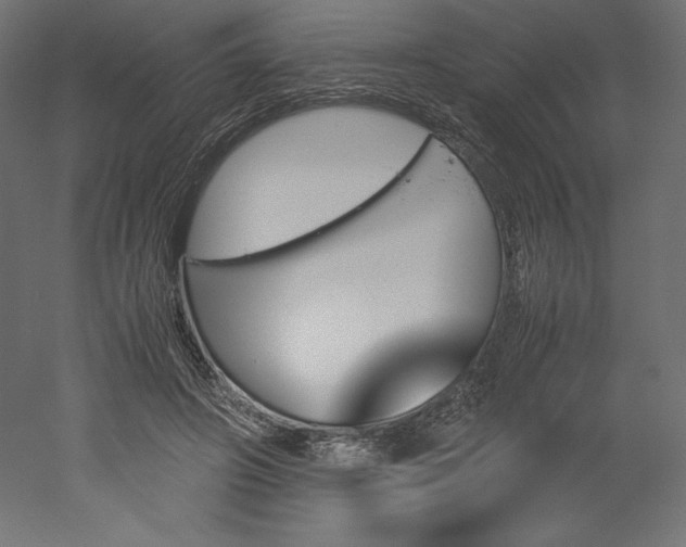 X0000051910498200507011537