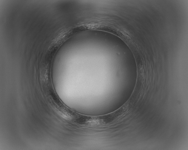 X0000051910499200507011537