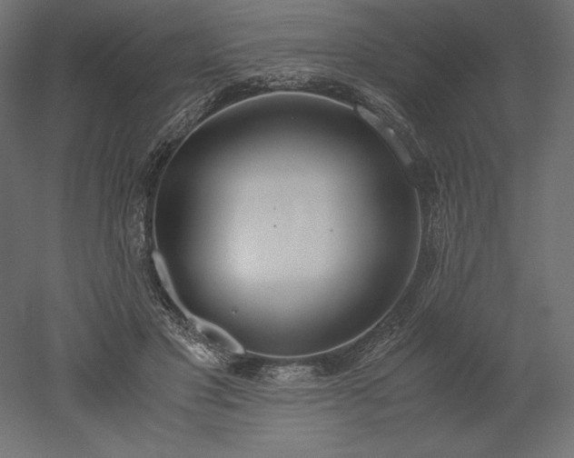 X0000051910501200507011537