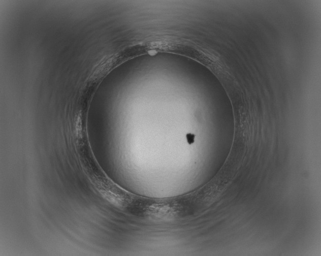 X0000051910502200507011537